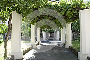 Chostro di Santa chiara , napoli photo