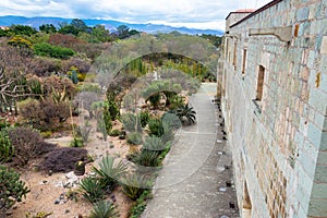 Monastery and Garden photo