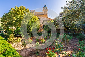 Monastery garden of Valldemossa village, Palma Mallorca, Spain photo