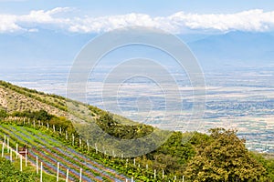 monastery gardens and Alazan Valley near Bodbe