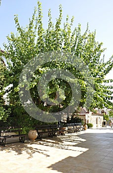 Monastery Panagyia Kaliviani courtyard garden from Mires in Crete island of Greece