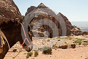 The Monastery, Petra