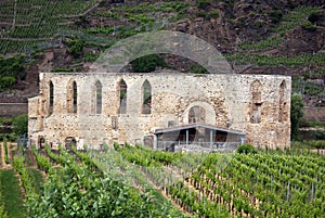 Monastery ruins Stuben