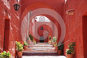 The Monastery of Saint Catherine photo