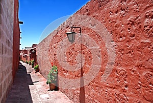 The Monastery of Saint Catherine photo