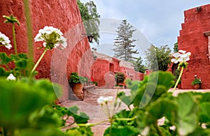 Monastery of Santa Catalina de Siena in Arequip, Peru