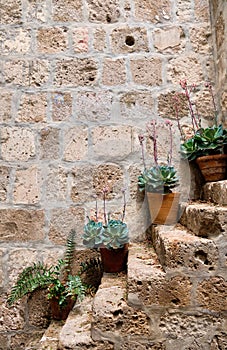 Monastery of Santa Catalina de Siena in Arequip, Peru