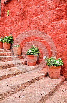 Monastery of Santa Catalina de Siena in Arequip, Peru