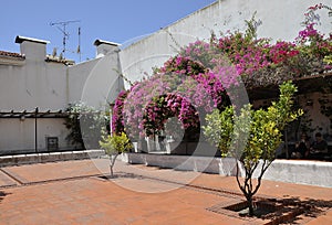 Monastery of Sao Vicente de Fora Courtyard from Alfama district in Lisbon