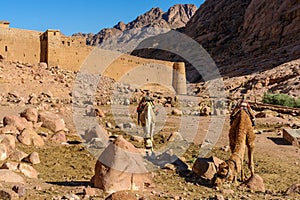 Monastery of St. Catherine and mountains near of Moses mountain, Sinai Egypt