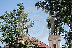 The Monastery of St. Mary of Radna, Minor Basilica, Lipova, Arad 23