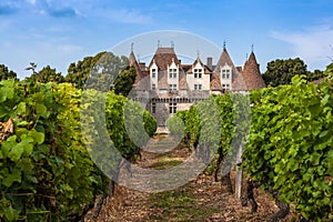 Castillo vinedos, Francia 