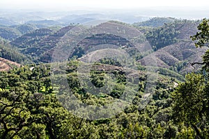 Monchique in mountains of Algarve, Portugal