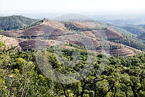 Monchique in mountains of Algarve, Portugal