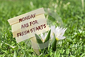 Monday are for fresh starts