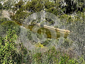 Mondrago Nature Park, Mallorca