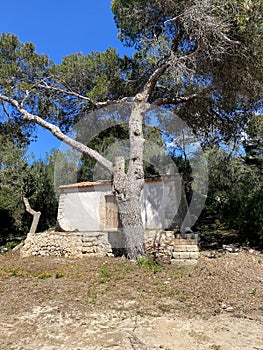Mondrago Nature Park, Mallorca, Santanyi, Spain