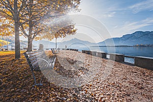 Mondsee, autumn countryside. Bench and orange leaves. Sunny day. Austria