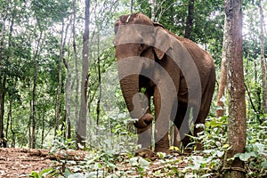 Mondulkiri, Cambodia