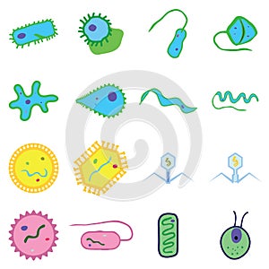 Monera bacteria virus and algae