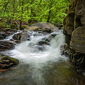 Moness Gorge, Aberfeldy