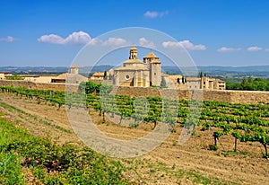 Monestir de Santa Maria de Poblet photo