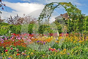 Monet`s garden