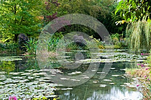 Monet's garden and lily pond