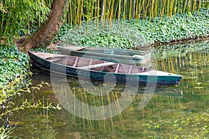 Monet\'s Norman Garden in Giverny, France