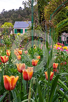 Monet\'s Norman Garden in Giverny, France