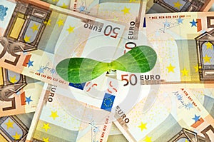 Monetary background of the euro and green sprout