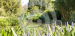 Monets Garden and Lily Pond
