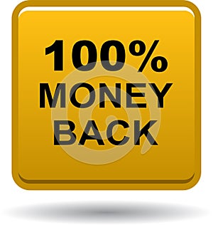 Money back button web icon golden