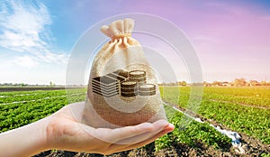 Money bag on the background of agricultural crops in the hand of the farmer. Agricultural startups. Profit from agribusiness.