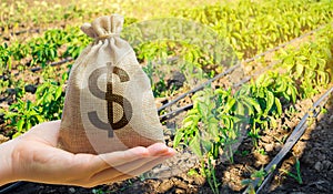 Money bag on the background of agricultural crops in the hand of the farmer. Agricultural startups. Profit from agribusiness.