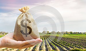 Money bag on the background of agricultural crops in the hand of the farmer. Agricultural startups. Profit from agribusiness.