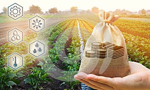 Money bag on the background of agricultural crops in the hand of the farmer. Agricultural startups. Profit from agribusiness.