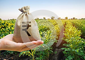 Money bag on the background of agricultural crops in the hand of the farmer. Agricultural startups. Profit from agribusiness.