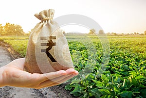 Money bag on the background of agricultural crops in the hand of the farmer. Agricultural startups. Profit from agribusiness.