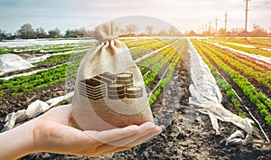 Money bag on the background of agricultural crops in the hand of the farmer. Agricultural startups. Profit from agribusiness. photo