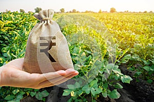 Money bag on the background of agricultural crops in the hand of the farmer. Agricultural startups. Profit from agribusiness. photo