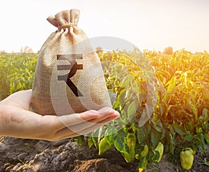 Money bag on the background of agricultural crops in the hand of the farmer. Profit from agribusiness. Agricultural startups.