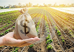 Money bag on the background of agricultural crops in the hand of the farmer. Agricultural startups. Profit from agribusiness. photo