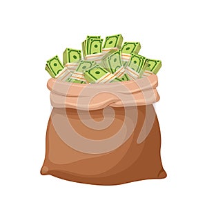 money bag cartoon vector illustration