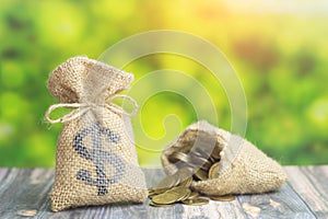 A money bag with dollar sign and bag with coins on green background. Concept of loan or business finance