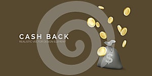 Money bag with dollar sign and falling gold coins. Financial services or cash back concept. Return on investment. Fast cash loan.