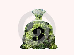 Money bag with dollar sign and money tree growing out of top isolated on white background