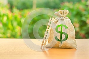 Money bag with dollar symbol and ladder. Startup and crowdfunding. Deposit and savings. Achieving the goal and the accumulation