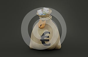 Money bag with euro symbol