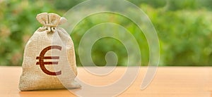 Money bag with Euro symbol on a nature background. Attracting investment to development and modernization. Business, budget